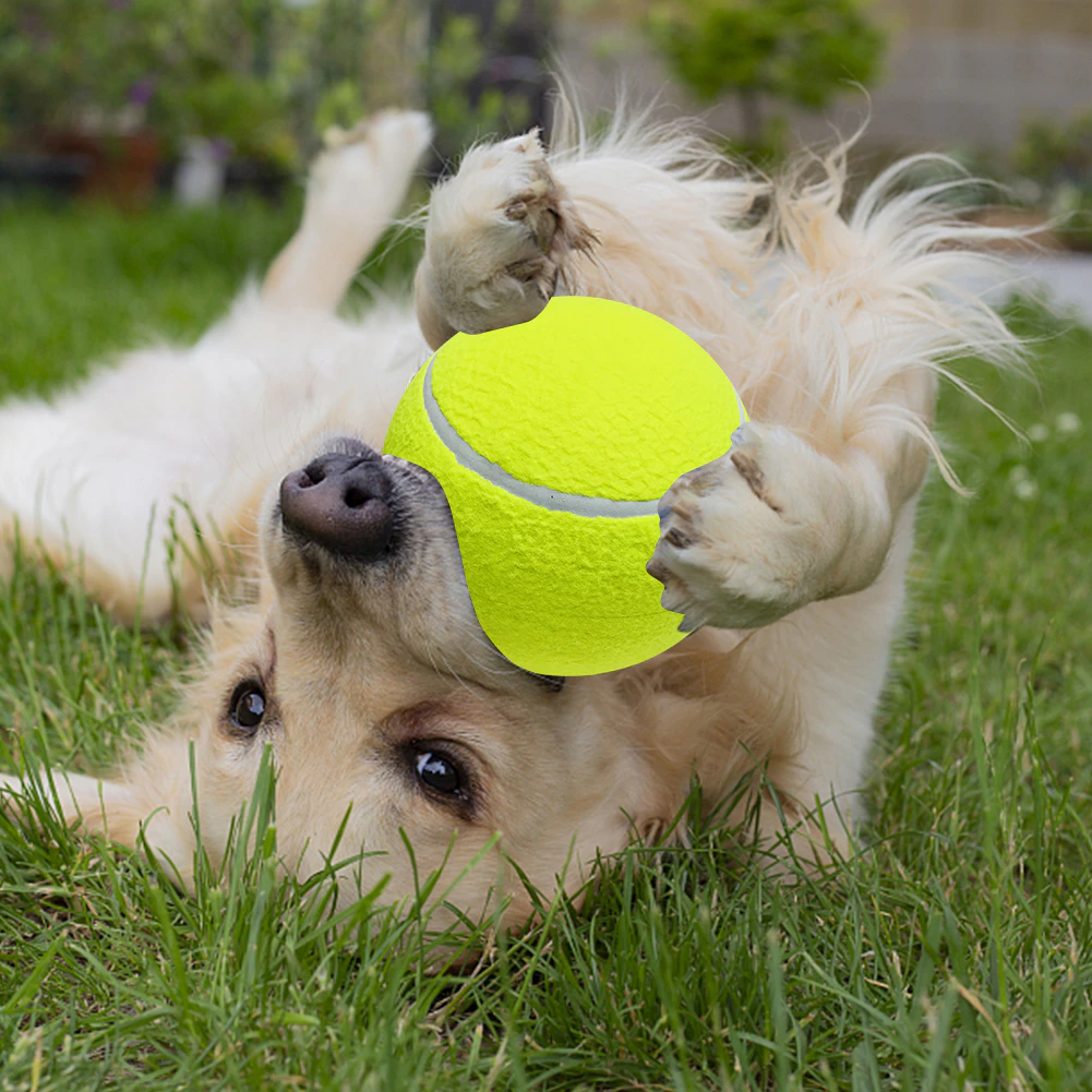 Lighteme Monster tennis ball for dogs