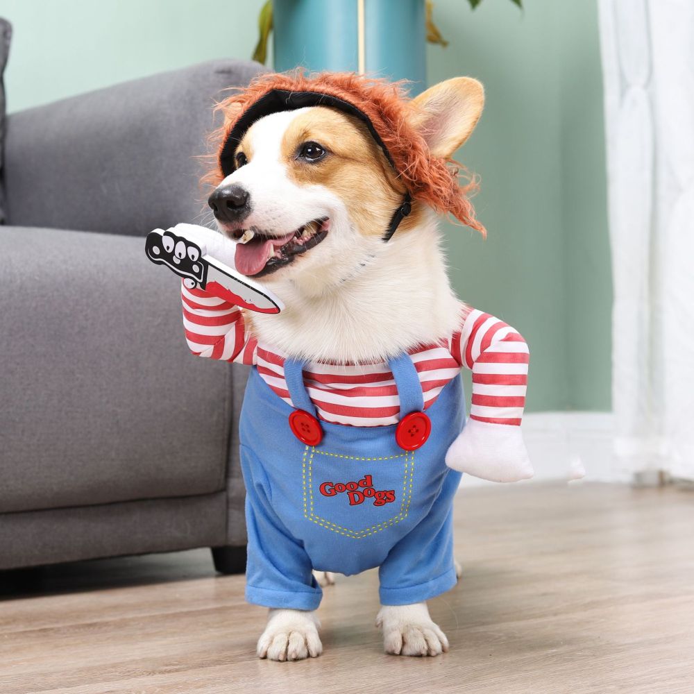 Lighteme Dog Halloween Costume