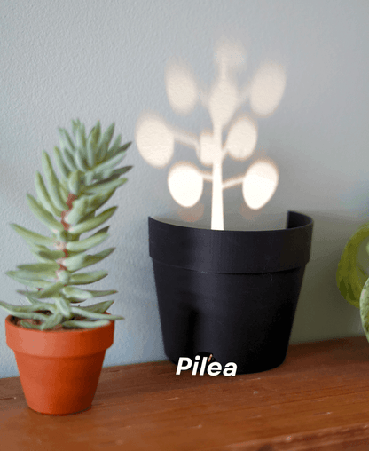 Lighteme Light Projections Plant Pot