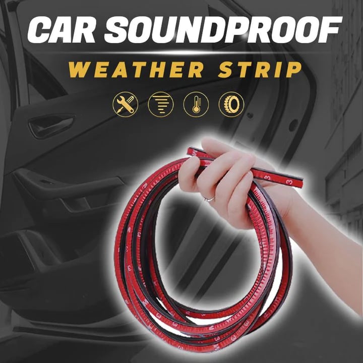 Lighteme Premium Dual Layer Weatherproof Car Door Seal Strips