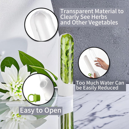 Lighteme Freshness-Preserving Veggie & Herb Storage Containers | BUY 1 GET 1 FREE (2PCS)