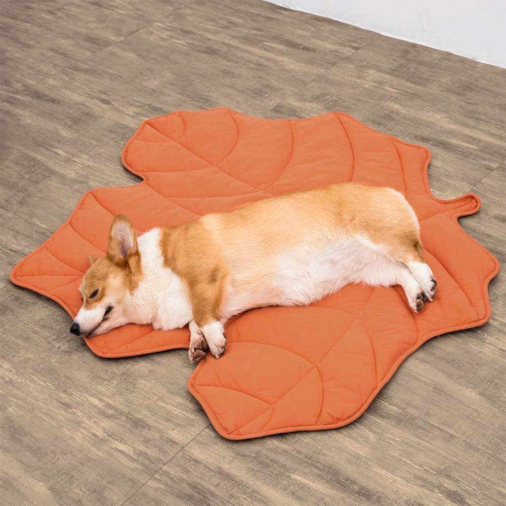 Lighteme Nature-Inspired Leaf Pet Blanket – Stylish and Comfortable