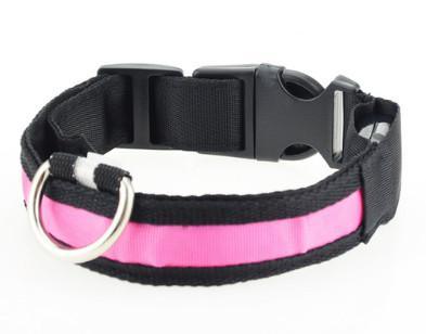 Lighteme LED Safety DOG Collar