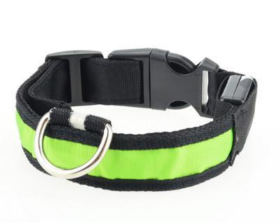 Lighteme LED Safety DOG Collar