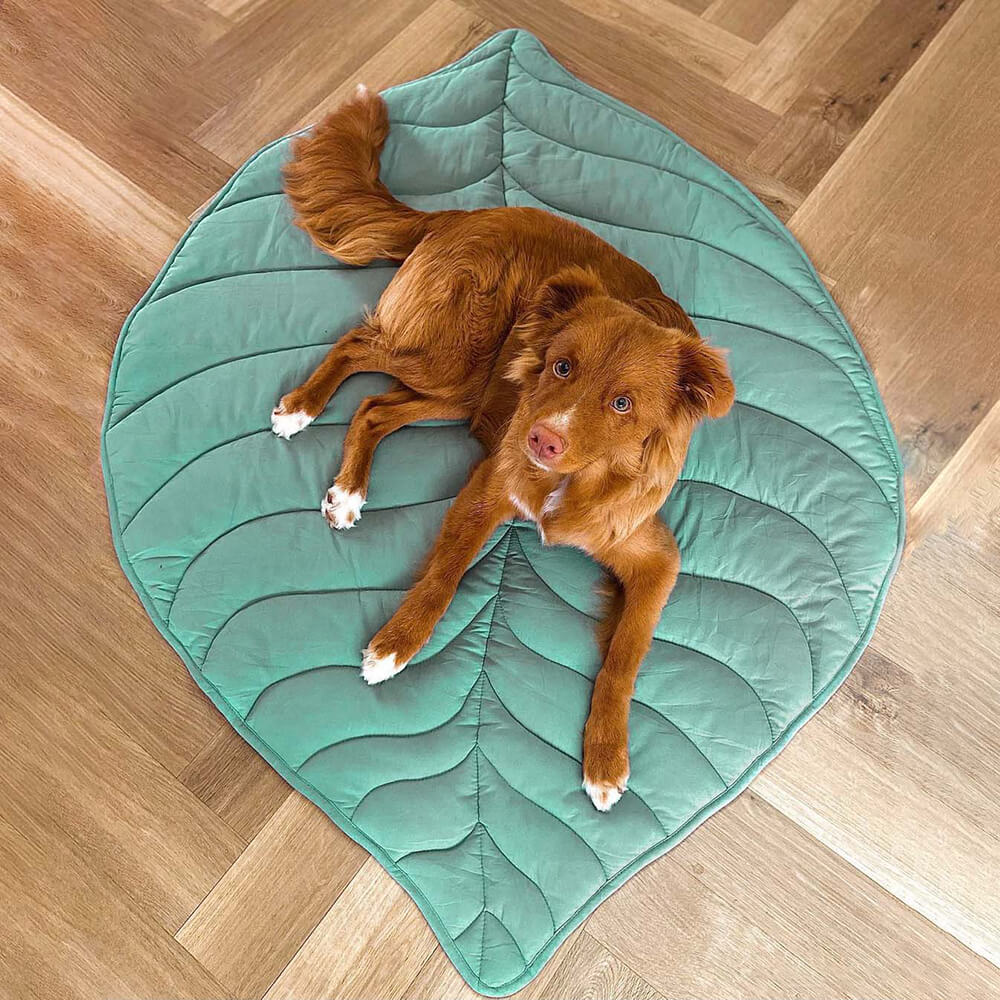 Lighteme Nature-Inspired Leaf Pet Blanket – Stylish and Comfortable