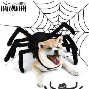 Lighteme Halloween Dog Spider Costume