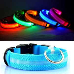 Lighteme Button Battery Luminescent Dog Collar (5 colors & 5 sizes)
