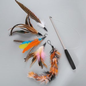 Lighteme Fishing Pole Feathers Cat Teaser Toy Set