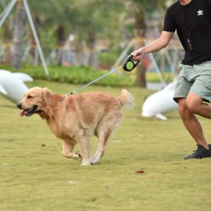 Lighteme Reflective Pet Durable Traction Rope (4 colors)