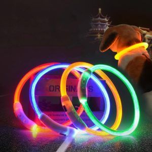 Lighteme USB Charging LED Flashing Safety Dog Collar (7 colors & 3 sizes)