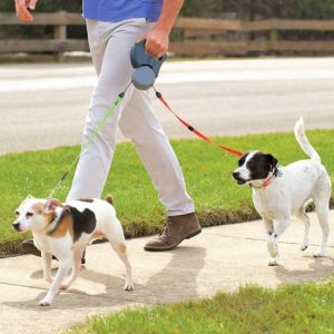 Lighteme Dog Leash For Two (3 colors)
