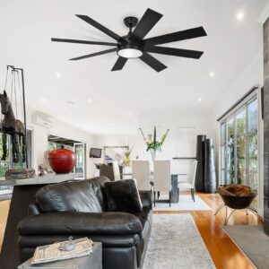 Black Modern Ceiling Fan With Light & Remote