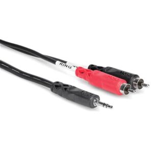 Hosa CMR-206 3.5mm TRS to Dual RCA. 6ft